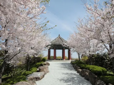 Mokpo