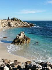 Asilomar State Beach