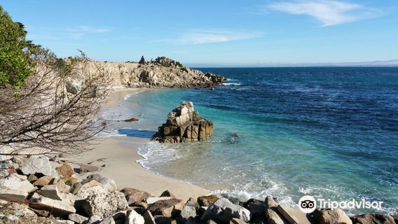 Asilomar State Beach