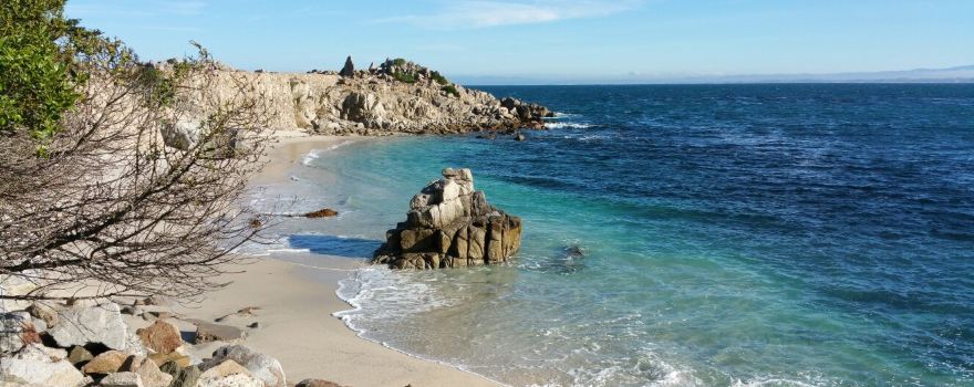 Asilomar State Beach