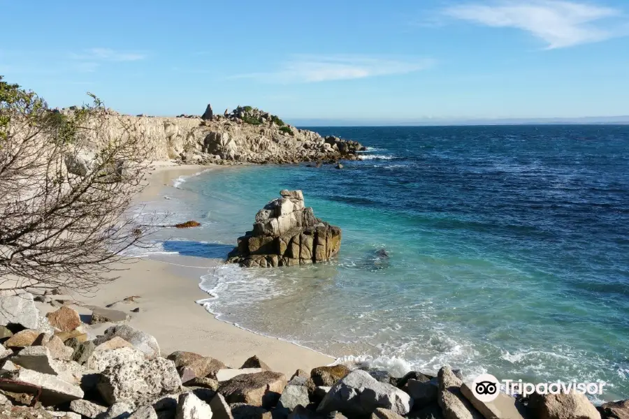 Asilomar State Beach