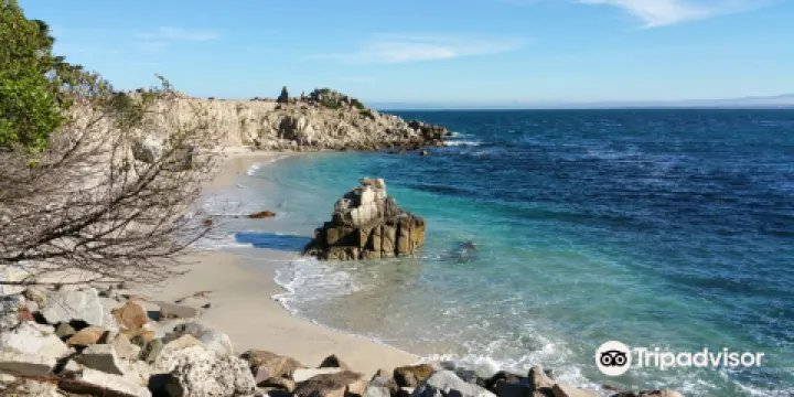 Asilomar State Beach