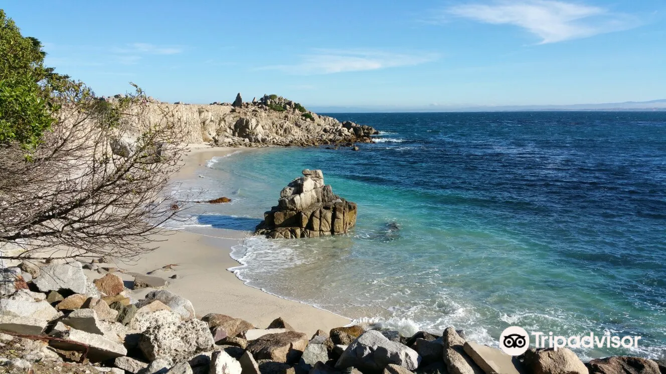 Asilomar State Beach