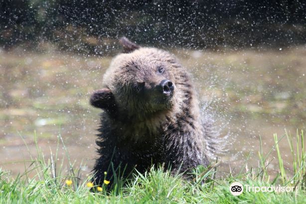 Greater Vancouver Zoo