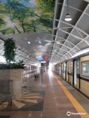 Sofia Metro
