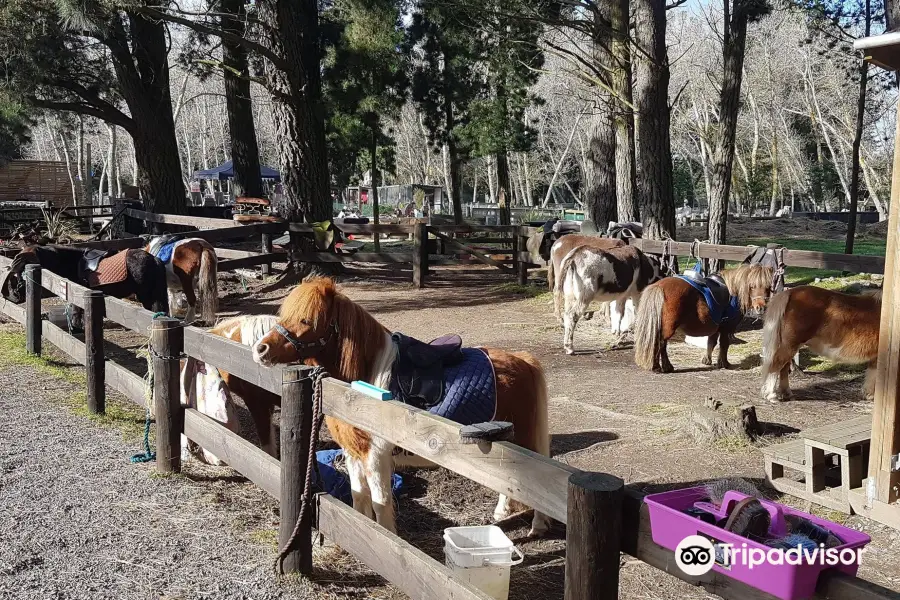 Arion Farm Education Park