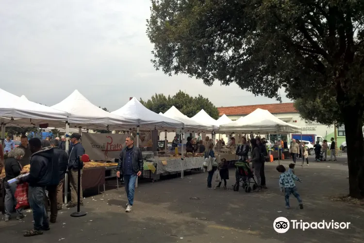 Mercato Terra di Prato3