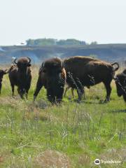 Prairie Heritage Center