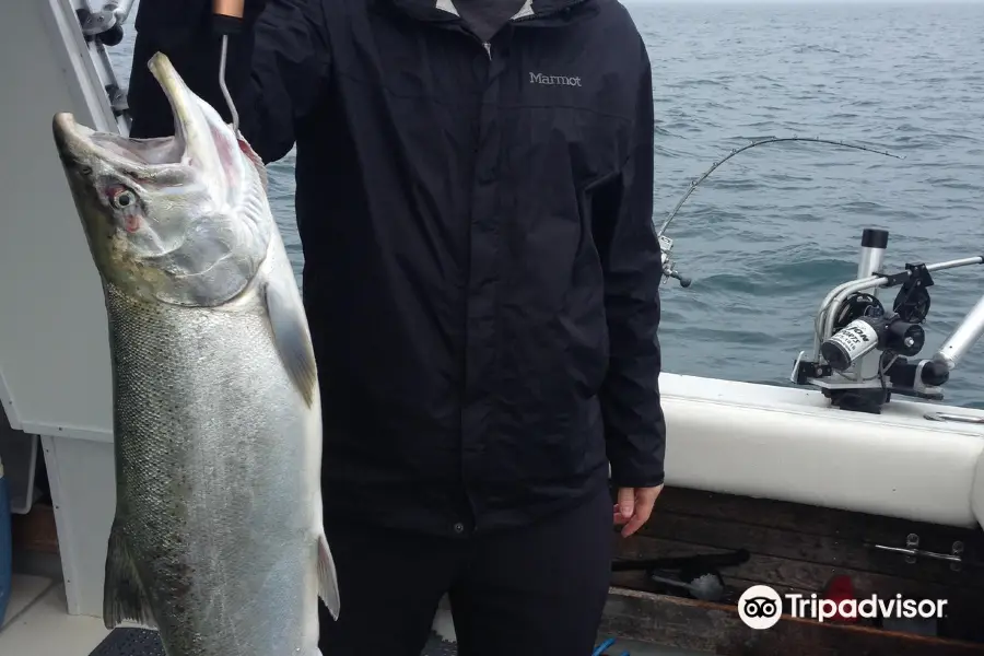 Windycitysalmon.com Lake Michigan Fishing Charters