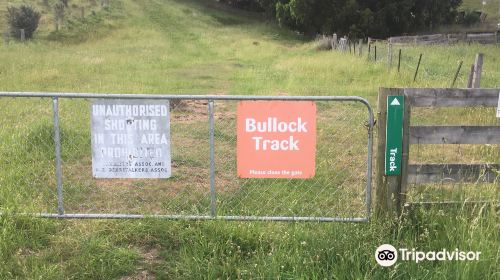 Bullock Track Roxburgh