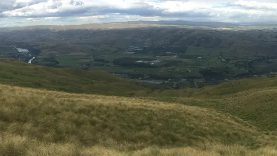 Bullock Track Roxburgh