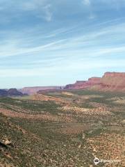 Bull Canyon Overlook and Dinosaur Track Site