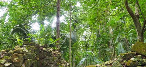 Hostels in Peten, Guatemala