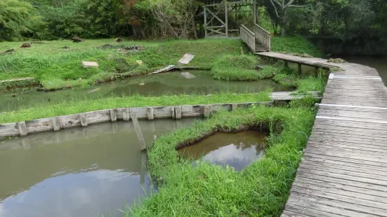 本場奄美大島紬泥染公園