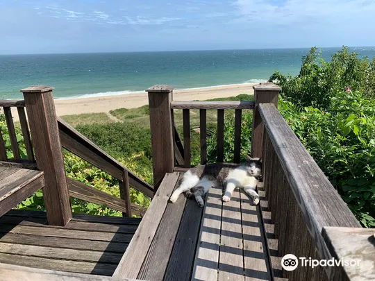 3_Сконсет Блафф Уолк