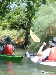 Venice Kayak