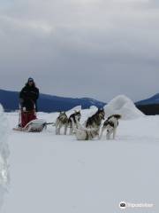 Boreal Kennels