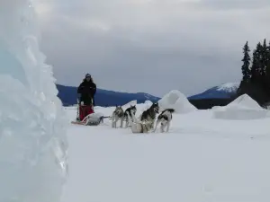 Boreal Kennels - Dog Sledding & Fishing Tours