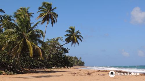 Playa de las Canas