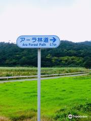 Ara Forest Road