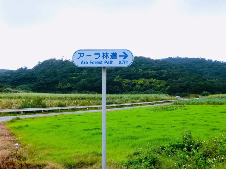 Hotels near Ara Forest Road