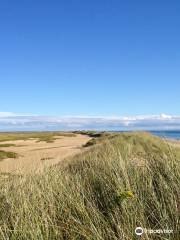 Herring Cove Beach