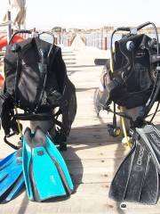 Seasecrets Divers