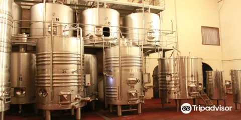 Bodegas Gregorio Martinez