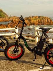 GONOW Electric bikes Knysna