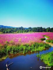 Oaks Bottom Wildlife Refuge