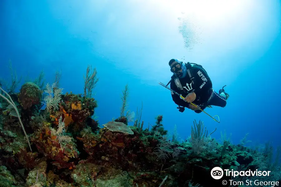 Neptune's Cove Belize