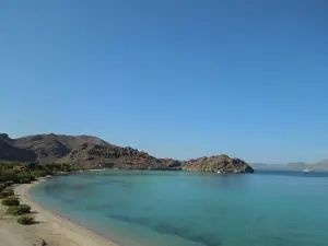 Dive Mulege