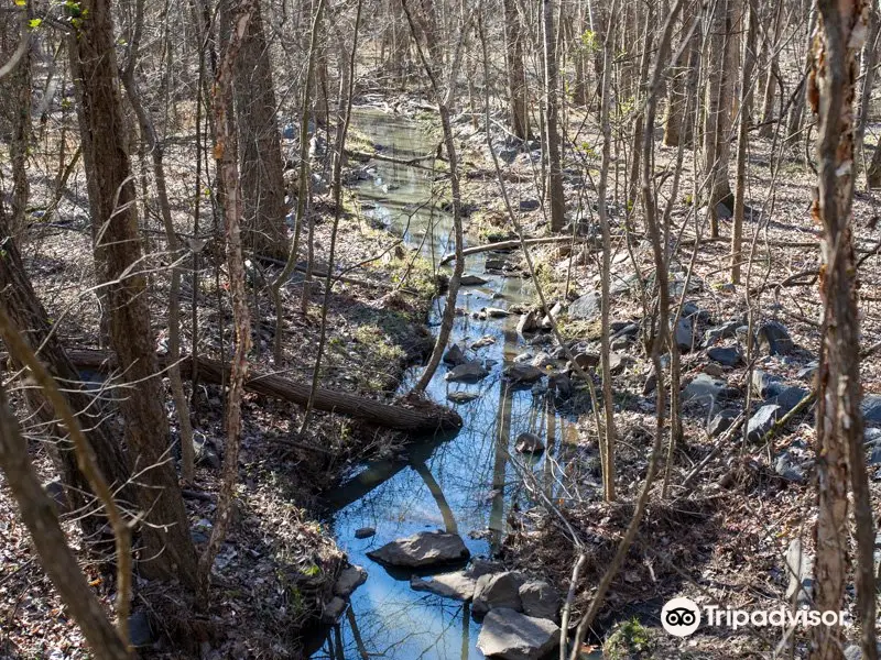 Six Mile Creek Greenway