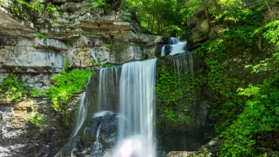 Fillmore Glen State Park