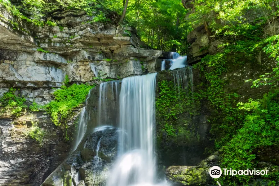 Fillmore Glen State Park