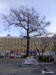 Botanical Nature Monument