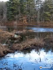 Stony Brook Wildlife Sanctuary