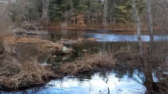 Mass Audubon's Stony Brook Wildlife Sanctuary