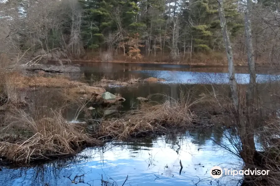 Mass Audubon's Stony Brook Wildlife Sanctuary