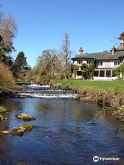 Mount Usher Gardens