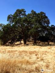 Maidu Museum & Historic Site