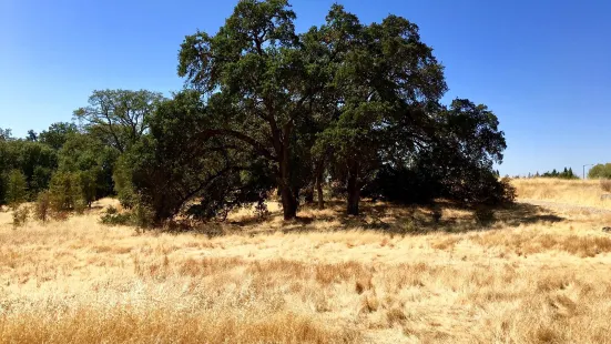 Maidu Museum & Historic Site