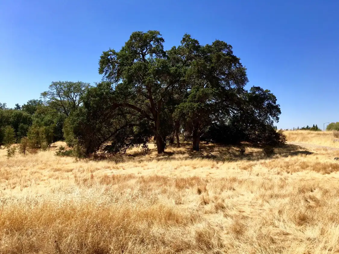 Hotels near Maidu Museum & Historic Site