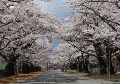 Yonomori Park