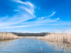 Igneada Longoz Ormanları Milli Parkı