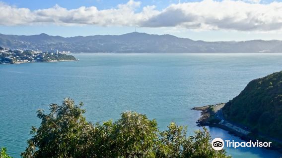 Wellington, Nouvelle-Zélande : points forts de la côte et du viaduc