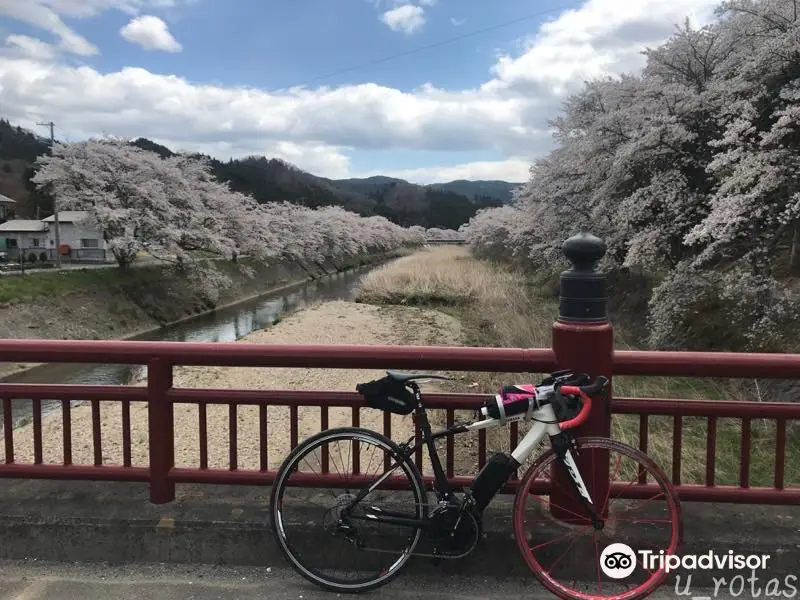Furudono Sakura Road