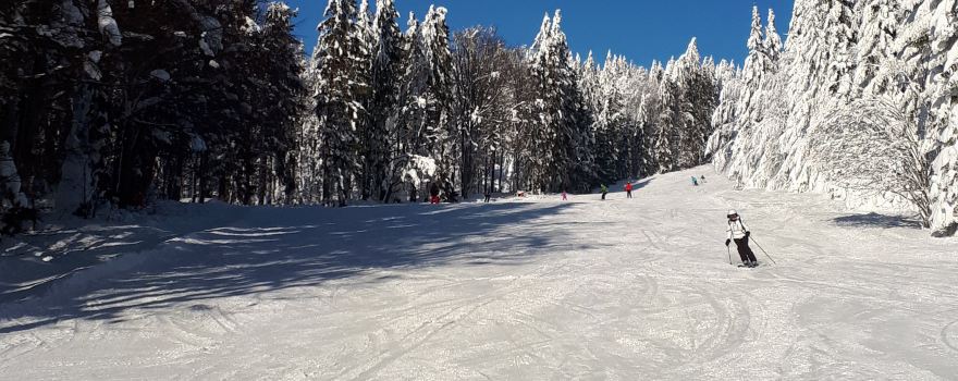 Klaffer Am Hochficht