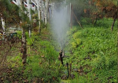 Wonju Herb Farm