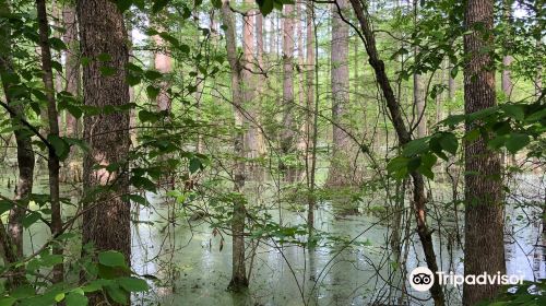 Little River National Wildlife Refuge